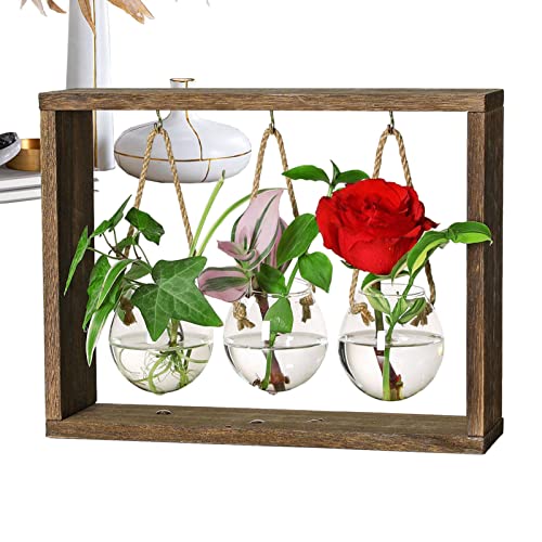Fensterausbreitungsstationen,Blumen-Terrarium-Kit mit Holzständer | Mini Reagenzglas Blumenvase Glasblumentopf für hydroponisches Hausgarten-Dekor-Geschenk Puchen von PUCHEN