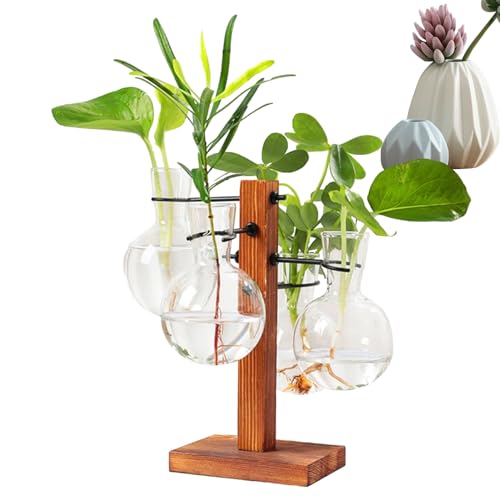 Pflanzenvermehrungsstation, Desktop-Pflanzenterrarium, Hydroponisches Pflanzgefäß-Set, Moderne Luftpflanzer-Glühbirnen-Glasvase mit Holzständer, Glühbirnenbecher-Glasvase für Puchen von PUCHEN