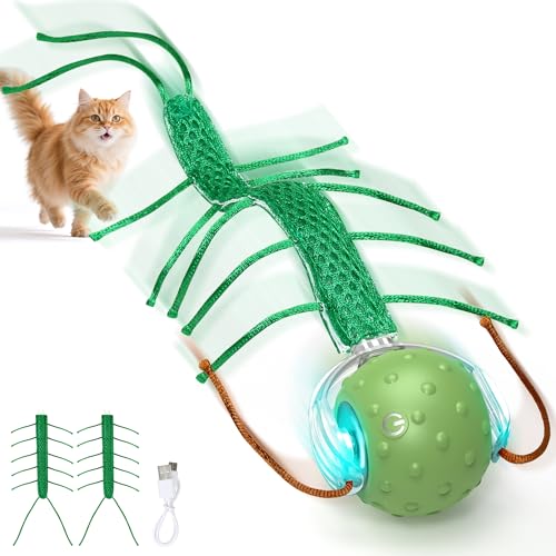 PUHOHUN Interaktives Katzenspielzeug Selbstbeschäftigung Elektrisch - Automatischer Katzenball mit Vogelgeräuschen, Katzen Spielzeug Interaktiv Leise & USB Aufladbar für Innenbereich-Katzen (Grün) PUHOHUN Interaktives Katzenspielzeug Selbstbeschäftigung Elektrisch - Automatischer Katzenball mit Vogelgeräuschen, Katzen Spielzeug Interaktiv Leise & USB Aufladbar für Innenbereich-Katzen (Grün) von PUHOHUN