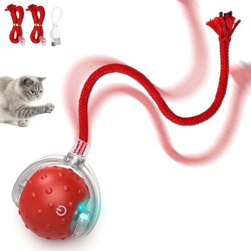 PUHOHUN Katzenspielzeugball Für Katzen Im Innenbereich | Interaktives Automatisches Katzenballspielzeug | Schnelles Rollen - Bewegungsaktiviertes Zwitschern | Versteckspiel, Mäusefangspiel PUHOHUN Katzenspielzeugball Für Katzen Im Innenbereich | Interaktives Automatisches Katzenballspielzeug | Schnelles Rollen - Bewegungsaktiviertes Zwitschern | Versteckspiel, Mäusefangspiel von PUHOHUN