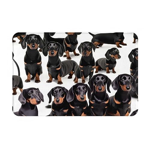 Dackel-Weiner Hunde-Fußmatte, Willkommen, 40,6 x 61 cm, Außentürmatten für den Eingangsbereich, leicht zu reinigen, schmutzabweisend, langlebig Dackel-Weiner Hunde-Fußmatte, Willkommen, 40,6 x 61 cm, Außentürmatten für den Eingangsbereich, leicht zu reinigen, schmutzabweisend, langlebig von PULaif