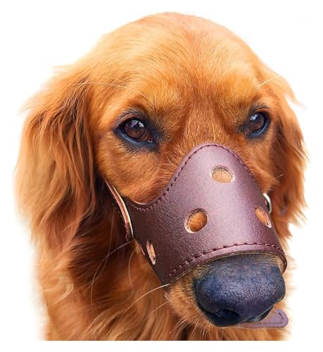 Maulkorb für Hundetraining, verstellbar, Anti-Biss-Maulkorb, ideal für kleine, mittelgroße und große Hunde, atmungsaktive Sicherheitsmaske für Welpen, zum Beißen und Bellen (Braun) von PULaif
