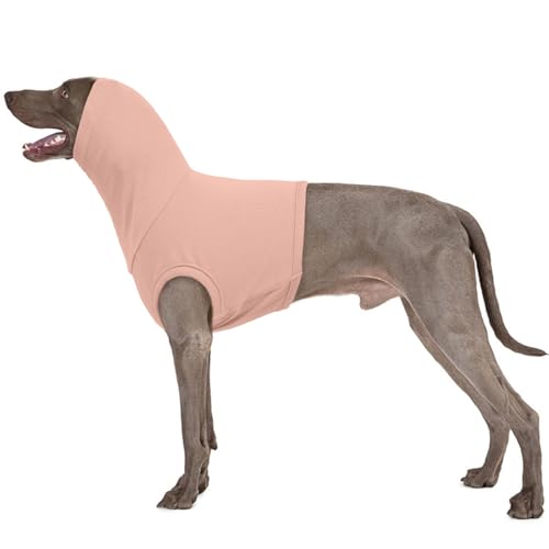 PUMYPOREITY Op Body Hund Hals, Erholungsanzug Hund Wundschutzanzug Hund Ohren Op Anzug Hund Kapuzenpullover Head Cover für Hund Schulter Bandage Hunter Hundepullover(Hautrosa, 3XL) PUMYPOREITY Op Body Hund Hals, Erholungsanzug Hund Wundschutzanzug Hund Ohren Op Anzug Hund Kapuzenpullover Head Cover für Hund Schulter Bandage Hunter Hundepullover(Hautrosa, 3XL) von PUMYPOREITY