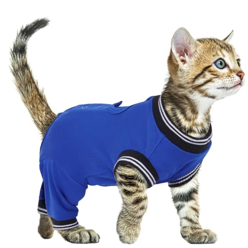 PUMYPOREITY Body Katze Nach Op, Katzen Body für Katzen Operation Leckschutz Katze Body Nach Op Hündin Beinschutz Katze Hinterbeine Katzen Onesie(Königsblau, S) von PUMYPOREITY