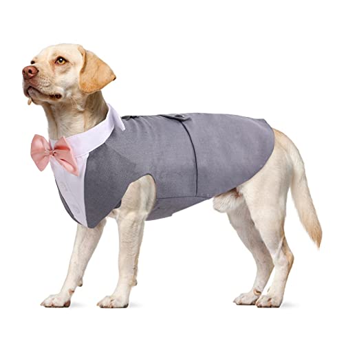 Dog Tuxedo, Smoking Hund Hochzeit Outfit Hunde Fliege Hochzeit S-XXL hundekostüm Kleine/Mittlere/Große Hunde Anzug(Grau, XL) von PUMYPOREITY
