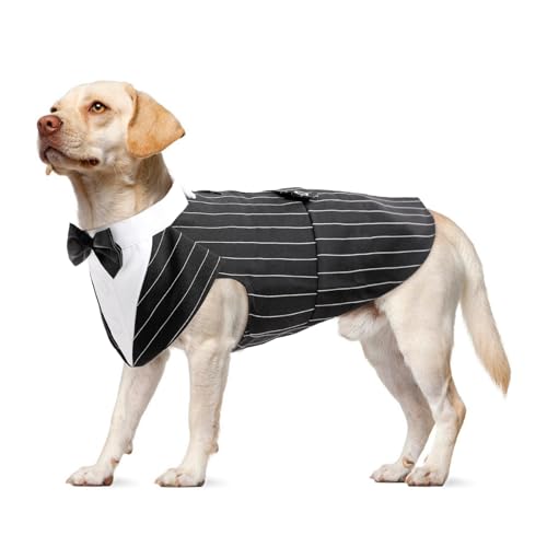 Dog Tuxedo, Smoking Hund Hochzeit Outfit Hunde Fliege Hochzeit S-XXL hundekostüm Kleine/Mittlere/Große Hunde Anzug(Streifen, XL) von PUMYPOREITY