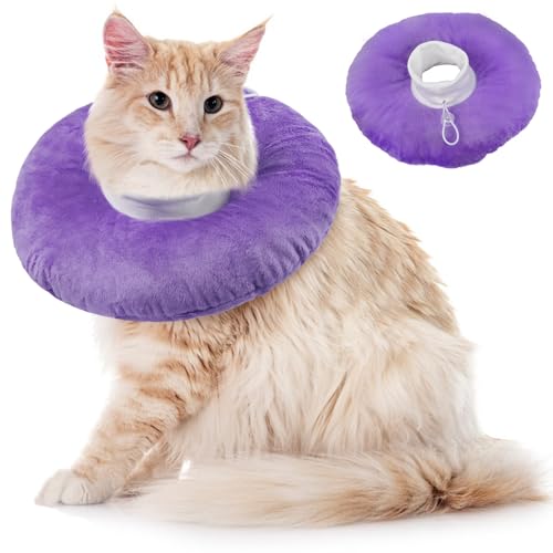 Halskragen Katze, Katzenkragen Leckschutz Weich Katzen Halskrause nach Op Katen Cone Collar Leichtgewicht Schutzkragen für Welpen(Lila, L) von PUMYPOREITY