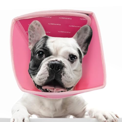 Halskrause Hund, Schutzkragen Hund Einstellbar Hundekragen Halskrause Leckschutz für Hunde Vorbeugung von Biss- und Leckwunden(Rosa, S) von PUMYPOREITY