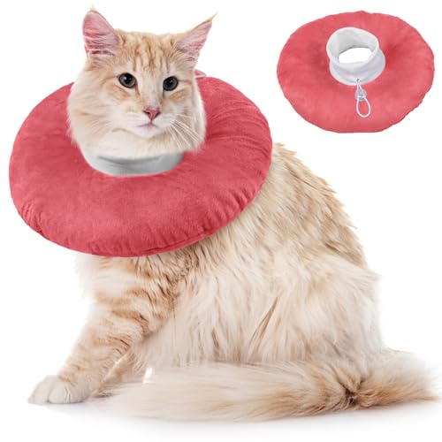 Halskrause Katze Leckschutz, Katzen Kragen nach Op Kragen Katze Leckschutz Katze Elizabeth Leckschutzkragen Katze Einstellbare Halskrause Katze(Rosa, L) von PUMYPOREITY