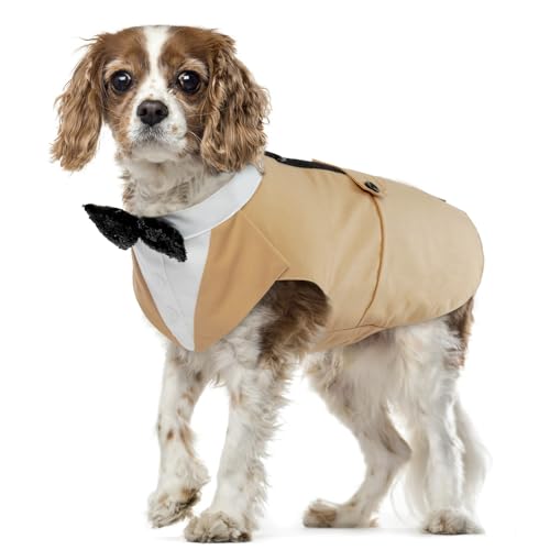 Hund Smoking Anzug, Hundeanzug mit Fliege Kostüm Gestreifter Gentleman Hund Hochzeitsfeier Anzug Haustier Kleidung Shirt formeller Anzug für Puppy Hunde(Champagner, L) von PUMYPOREITY