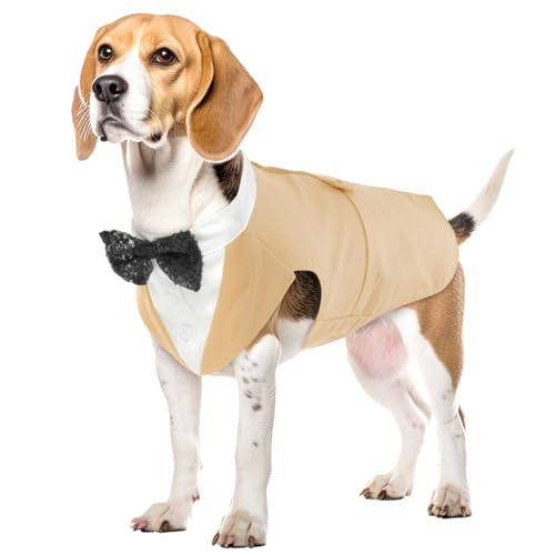 Hund Hochzeit Anzug, Smoking-Kostüme Formelle Party-Outfits Shirt Hund Kleidung Tuxedo Hundefliege Hochzeit mit Abnehmbarem Schleife Bandana für Kleine Mittlere und Große Hunde(Champagner, XL) von PUMYPOREITY
