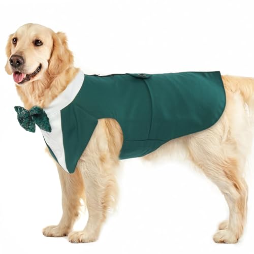 Hund Kleidung Tuxedo, Haustier Mantel Formale Hochzeit Verkleidungen & Kostüme für Hunde Chihuahua Kostüm Formelles Hunde-Smoking(Dunkelgrün, 2XL) von PUMYPOREITY