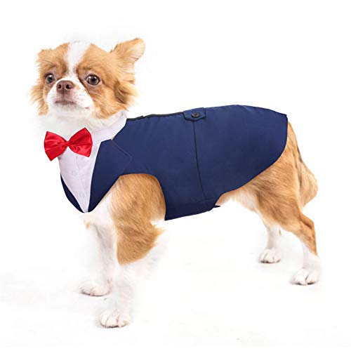 Hund Smoking, Hundeanzug Hochzeit - Hundekostüm mit Hunde Halsband und Bandana - Dog Tuxedo (Blau, S) von PUMYPOREITY