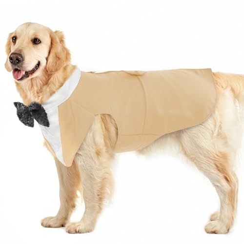 Hund Smoking Anzug, Hundeanzug mit Fliege Kostüm Gestreifter Gentleman Hund Hochzeitsfeier Anzug Haustier Kleidung Shirt formeller Anzug für Puppy Hunde(Champagner, 2XL) von PUMYPOREITY