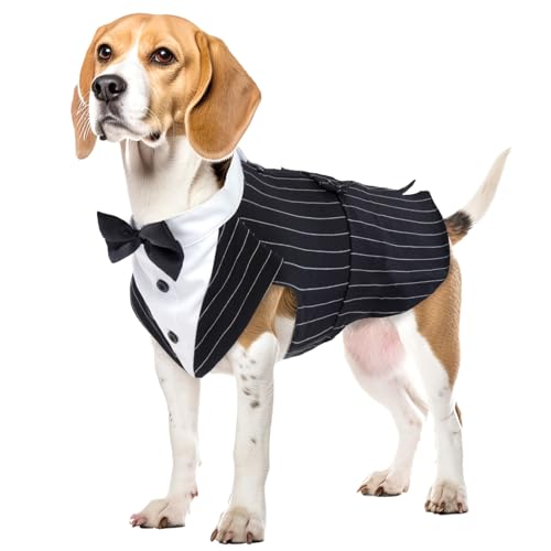 Hund Smoking Anzug, Hundeanzug mit Fliege Kostüm Gestreifter Gentleman Hund Hochzeitsfeier Anzug Haustier Kleidung Shirt formeller Anzug für Puppy Hunde(Streifen, L) von PUMYPOREITY