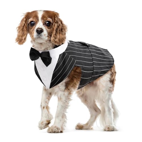 Hund Smoking Anzug, Hundeanzug mit Fliege Kostüm Gestreifter Gentleman Hund Hochzeitsfeier Anzug Haustier Kleidung Shirt formeller Anzug für Puppy Hunde(Streifen, M) von PUMYPOREITY