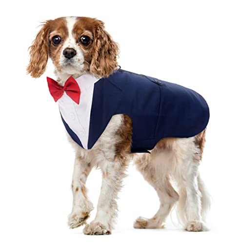 Hund Smoking Anzug und Bandana Set Haustier Mantel Formale Hochzeit Party Kleidung Welpe Hochzeit Fliege Krawatte Hemd Verstellbar für Hochzeit Geburtstag Fest Halloween Weihnachten Kostüme(Blau, M) von PUMYPOREITY