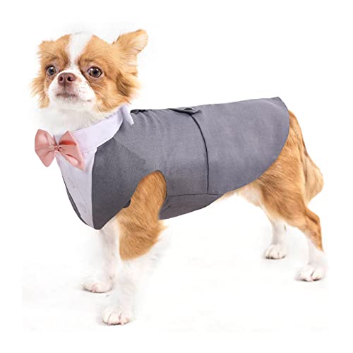 Hund Kleidung Tuxedo, Haustier Mantel Formale Hochzeit Verkleidungen & Kostüme für Hunde Chihuahua Kostüm Formelles Hunde-Smoking(Grau, S) von PUMYPOREITY