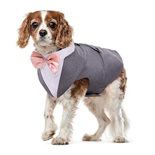 Hund Smoking Anzug und Bandana Set Haustier Mantel Formale Hochzeit Party Kleidung Welpe Hochzeit Fliege Krawatte Hemd Verstellbar für Hochzeit Geburtstag Fest Halloween Weihnachten Kostüme(Grau, M) von PUMYPOREITY