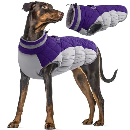 Hundejacke Wasserdicht, Hundemantel Fleece Gefüttert Warme Hundeweste Winterjacke Hunde Bekleidung Winddichter Mäntel für Winter(Lila, 2XL) von PUMYPOREITY