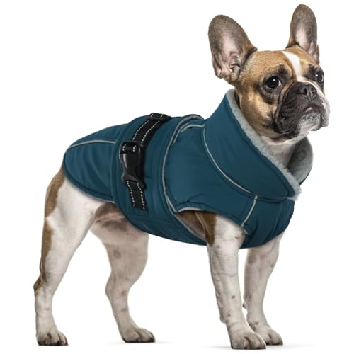 Hundemantel Mittelgroße Hunde, Hundemantel Wasserdicht Hundepullover Winterjacken & Wintermäntel für Hunde Warm Fleecemantel(Dunkelgrün, M) Hundemantel Mittelgroße Hunde, Hundemantel Wasserdicht Hundepullover Winterjacken & Wintermäntel für Hunde Warm Fleecemantel(Dunkelgrün, M) von PUMYPOREITY