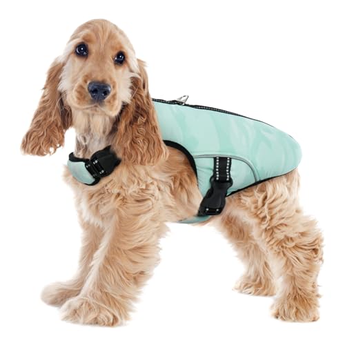Kühlung für Hunde, Hund Kühlweste Kühler Jacke Kühlende Kleidung Haustiere Kühlende Hundeweste für Outdoor Jagd Training Camping Kühlt Nacken und Brust bei hohen Temperaturen(Grün, L) von PUMYPOREITY