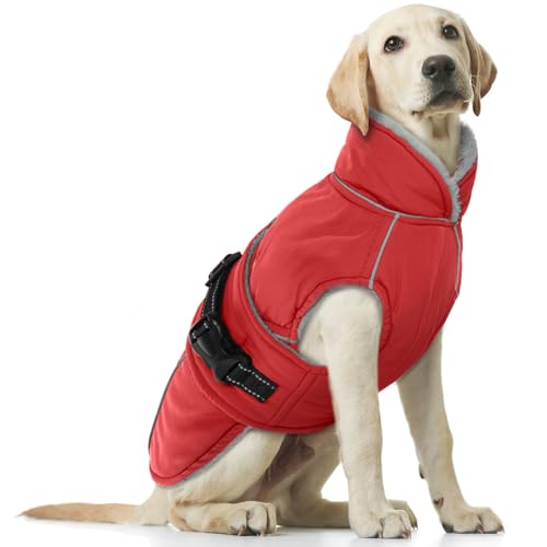 Hundemantel Wasserdicht, Winter Hundejacke Warme Winddichter Anti-Schneeanzug Hunter Hundemantel(Rot, XL) von PUMYPOREITY