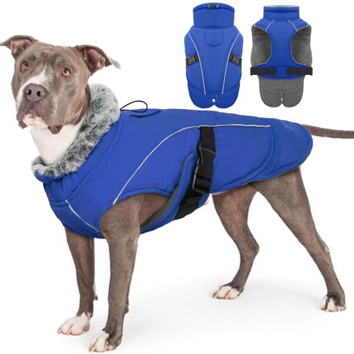 Hundemantel Wasserdicht, Winter Hundejacke Warme Winddichter Anti-Schneeanzug Winter Hundebekleidung Outfit(Blau, 3XL) von PUMYPOREITY