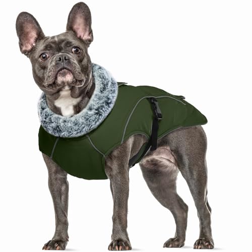 Hundemantel für Kleine Hunde, Hundejacke Große Hunde Wasserdichter Warmer Hund Wintermantel für Grosse Hunde mit Reflektierender Streifen(Armeegrün, M) von PUMYPOREITY