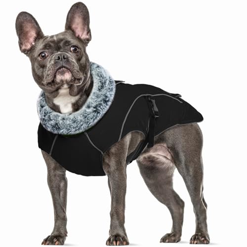 Hundemantel Wasserdicht, Winter Hundejacke Warme Winddichter Anti-Schneeanzug Winter Hundebekleidung Outfit für Kleine Mittlere und Große Hunde(Schwarz, M) von PUMYPOREITY