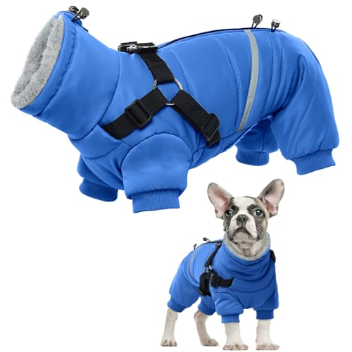 Hundemantel Wasserdicht, Winter Warme Hundejacke Winddichter Hundemantel 4 Beine für Kaltes Wetter Anti-Schneeanzug Hundebekleidung Outfit für Kleine Mittlere Hunde(Blau, S) von PUMYPOREITY
