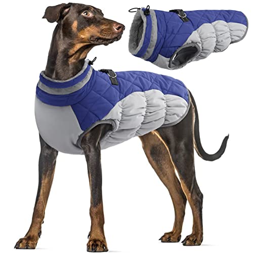 Hundemantel Wasserdichter, Hundepullover Hundejacken Winterweste für Kleine Hunde Warm Hundekleidung für Kaltes Wetter(Blau, L) von PUMYPOREITY