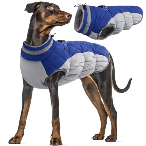 PUMYPOREITY Hundemantel Winter, Wasserdicht Hundejacken Große Hunde Weste Warm Winddicht Hundejacke Fleece Haustier Bekleidung Reflektierend Winterjacken mit Leine Loch(Blau, L) von PUMYPOREITY