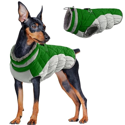 Hundejacke Wasserdicht, Hundemantel Fleece Gefüttert Warme Hundeweste Winterjacke Hunde Bekleidung Winddichter Mäntel für Winter(Grün, M) von PUMYPOREITY