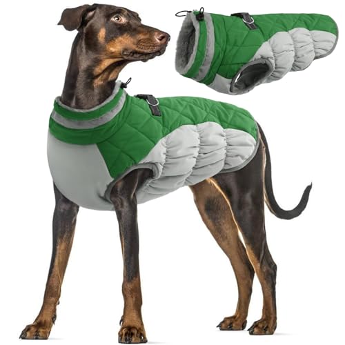 Hundemantel Winter, wasserdichte Welpen Warme Weste Hundejacke Fleece Gefüttert Wintermantel mit Fleecekragen Winter Hundekleidung(Grün, XL) von PUMYPOREITY