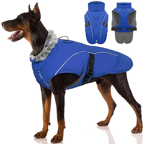Hundejacke Wasserdicht, Hundemantel Fleece Gefüttert Warme Hundeweste Winterjacke Hunde Bekleidung Winddichter Mäntel mit Reflexstreifen für Winter(Blau, L) von PUMYPOREITY