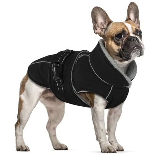 PUMYPOREITY Hundemantel Winter, Wasserdicht Hundejacken Große Hunde Weste Winddicht Hundejacke Warm Fleece Haustier Bekleidung Reflektierend Winterjacken mit Leine Loch(Schwarz, S) von PUMYPOREITY