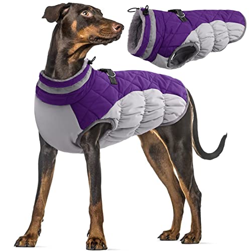 Hundemantel Wasserdicht, Warm Winterjacke für Kleine Hunde Kleidung Winter Weste Jacke Hundepullover Hundemantel mit Bauchschutz(Lila, L) von PUMYPOREITY