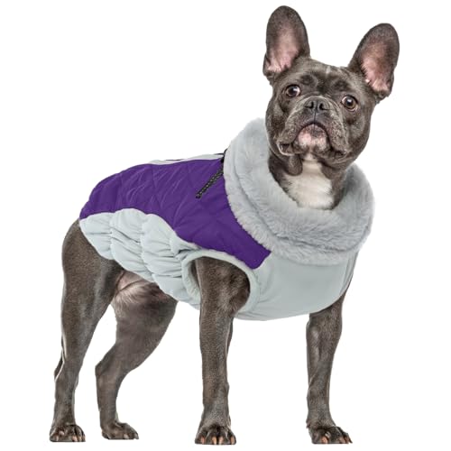 Hundejacke für Kleine Hunde, Winterweste Jacken Outdoor Hundemantel Hunde Schneeanzug Haustier Skifahren Baumwolle Gepolsterte Weste Chihuahua Kleidung Winter(Lila, M) von PUMYPOREITY