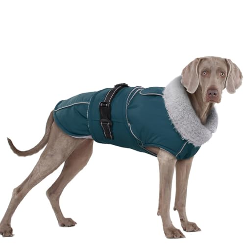 Hundemantel XXL, Hundejacke Große Hunde Fleecemantel Hund Hundepullover Grosse Hunde Warmer Hundemantel(Dunkelgrün, 2XL) von PUMYPOREITY