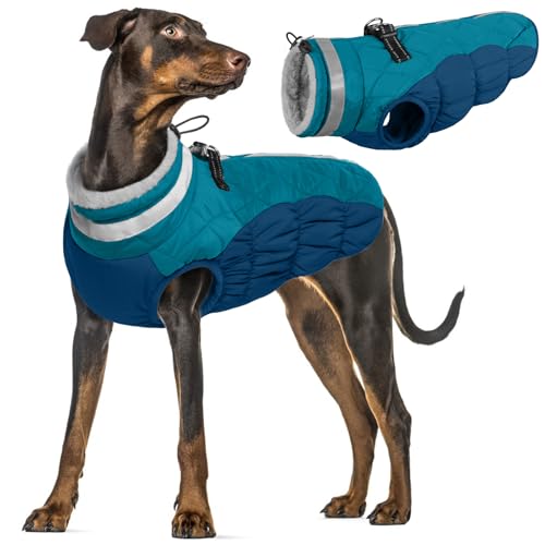 Hundemantel XXL, Winterjacke Hund Groß Schneejacke Hund Hundemantel Fleece Grosse Hunde Wintermantel Labrador(Dunkelgrün, 2XL) von PUMYPOREITY