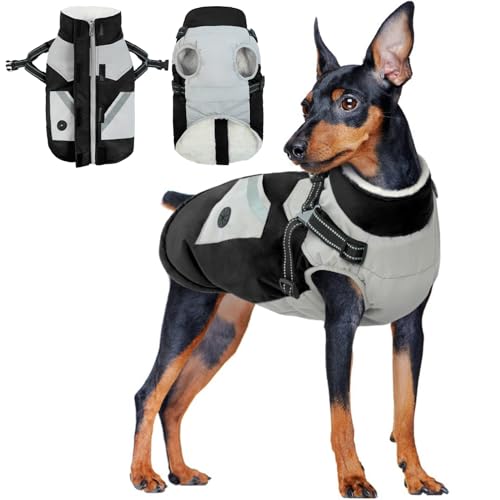 Hundemantel mit Geschirr, Hundejacke Winter Hundemantel mit Bauchschutz Hunderegenmantel Mittelgroße Hunde Hundepullover Wasserdicht(Schwarz, M) von PUMYPOREITY