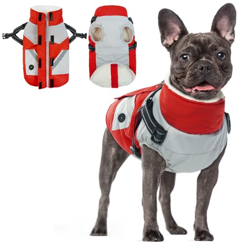 Hundemantel mit Geschirr Kleine Hunde, wasserdichte Hundemantel Jacken Kleine Hunde Gepolstert Puffer Winter Warm Hund Kleidung Thermomantel Hunde Hundemantel Französische Bulldogge(Rot, S) von PUMYPOREITY