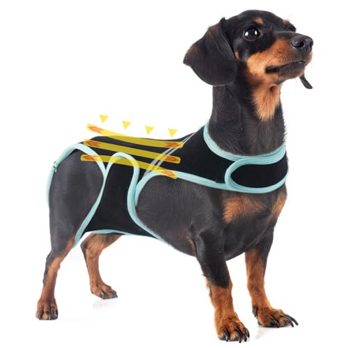 IVDD Rückenbandage für Hunde, Rückenstützweste Lendenwirbelstütze Bequeme Erholungsbandage Nach Wirbelsäulenchirurgie, Hund Rückenprotektor, Bandscheibenvorfall mit Integrierten Knorpelstreifen(M) IVDD Rückenbandage für Hunde, Rückenstützweste Lendenwirbelstütze Bequeme Erholungsbandage Nach Wirbelsäulenchirurgie, Hund Rückenprotektor, Bandscheibenvorfall mit Integrierten Knorpelstreifen(M) von PUMYPOREITY