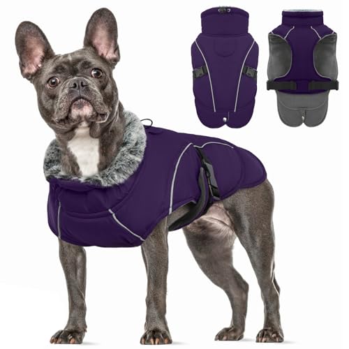 Jacke für Kleine Hunde, Winterjacke Gefütterte mit Leine Loch Kleidung Winter für Kleine Hunde Winddicht Weste Welpenjacke (Lila, S) von PUMYPOREITY