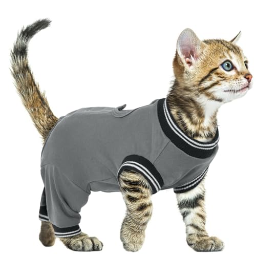 PUMYPOREITY Katzen Body Nach Op, Katzenbody Nach Kastration Rüde katzenanzug nach op Ellenbogenbandage Katze Hinterbeine Kniebandage Katze Hinterbein(Grau, S) von PUMYPOREITY