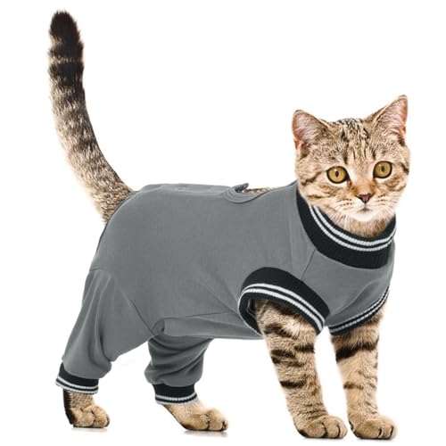PUMYPOREITY Katzenbody mit Beinen, Body Katze Nach Op Rüde leckschutz Katze kastration Katzenbody Hinterbeine Bandage Katze Hinterbeine Katzenschenkel Schutz(Grau, M) von PUMYPOREITY