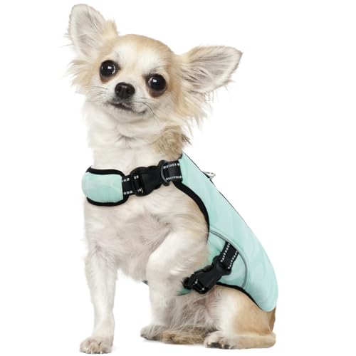 Kühlweste für Hunde, Hundekühlungsmantel Sommer Sicherheitsweste Atmungsaktive & Reflektierende für Klein Mittlere Große Hunde Kühljacke Aktivitäten Draußen Wandern Training(Grün, S) von PUMYPOREITY