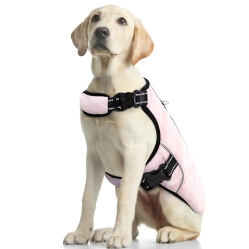 Kühlweste für Kleine Hunde, Kühljacke für Hunde Reflektierend Kühlgeschirr Hunde Kühlweste Atmungsaktiv Mesh Hundejacke Sommer Cool und Bequem Hundemantel(Rosa, XL) von PUMYPOREITY
