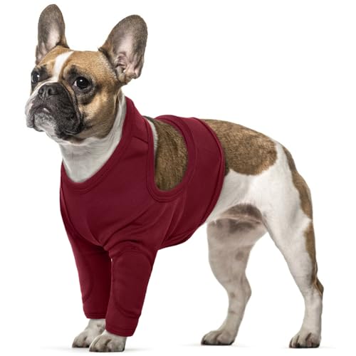 Leckschutz Hund Vorderbein, Beinschutz Hund Vorderbein Halskrause Hund Hundebody mit Arm Erholungsmanschette Hund(Rot, S) von PUMYPOREITY